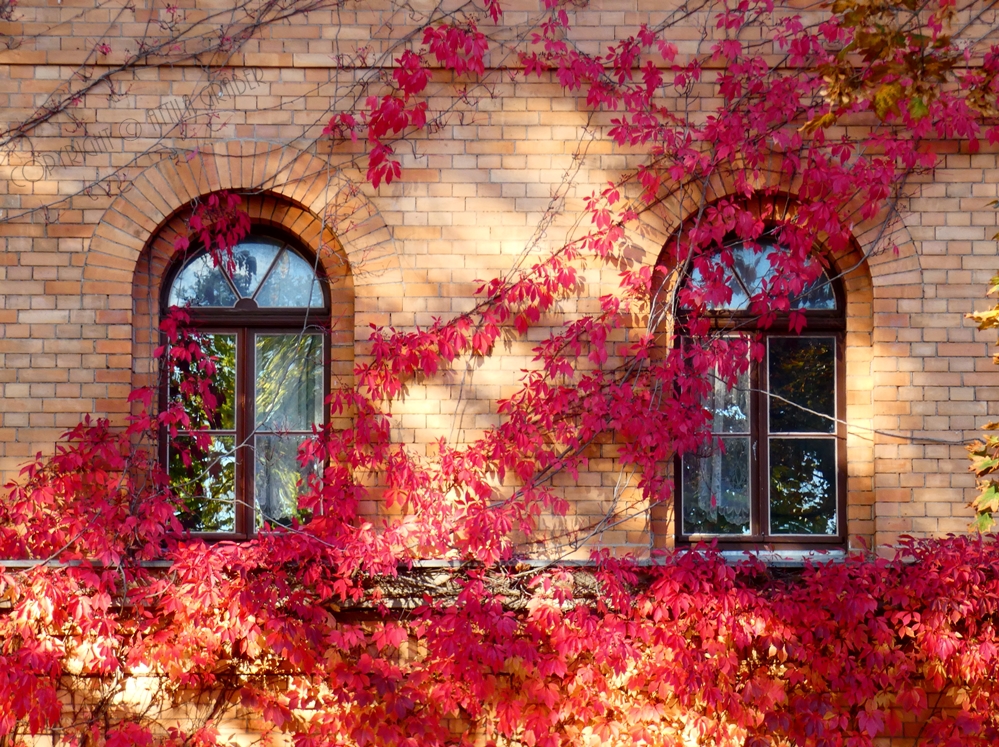 zwei kleine Fenster