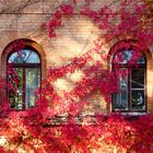 zwei kleine Fenster