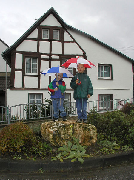 Zwei kleine Wetterfrösche