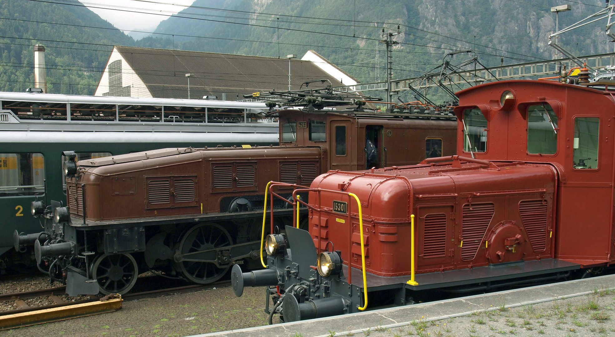 Zwei Krokodile in Erstfeld am Gotthard.