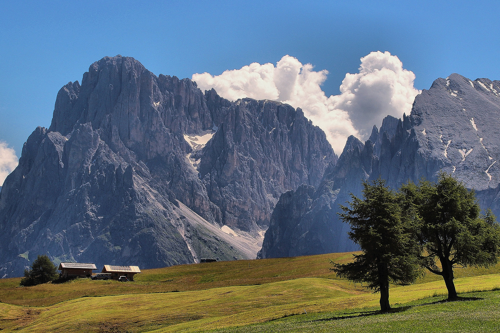 Zwei Lärchen + Zwei Berge = 1 x Seiser Alm