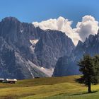 Zwei Lärchen + Zwei Berge = 1 x Seiser Alm