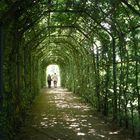 Zwei liebende Menschen finden immer das Licht am Ende des Tunnels!