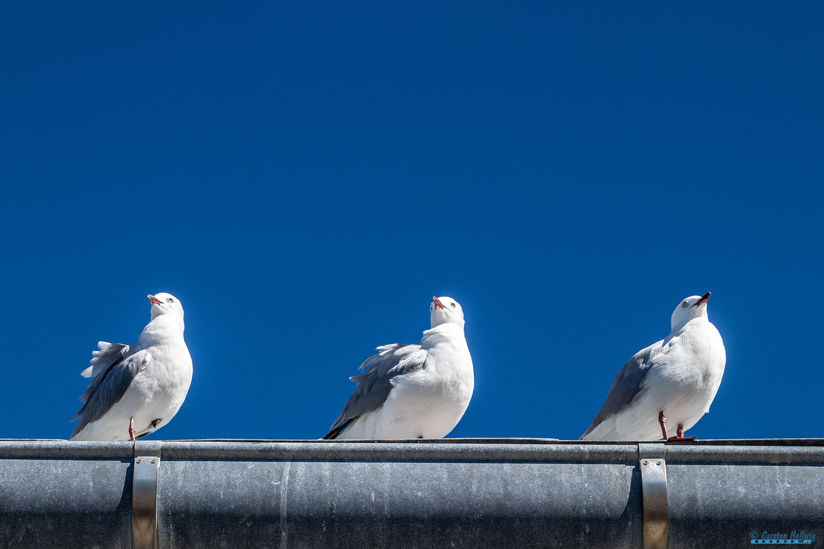 Zwei Links, eine Rechts