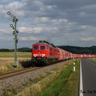 Zwei Löffel am Tor zum Harz