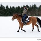 Zwei Mädels im Schnee #2893