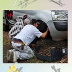 Zwei Männer reparieren ein Auto -