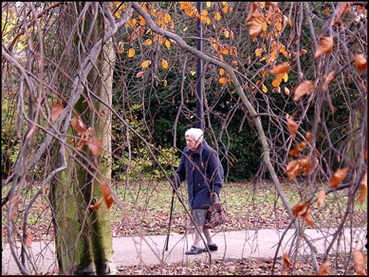 Zwei mal Herbst