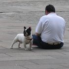 zwei mit gleichem Format auf dem Platz vor der Kathedrale in Santiago de Compostela