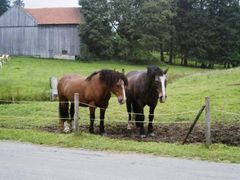 Zwei mit müdem Blick