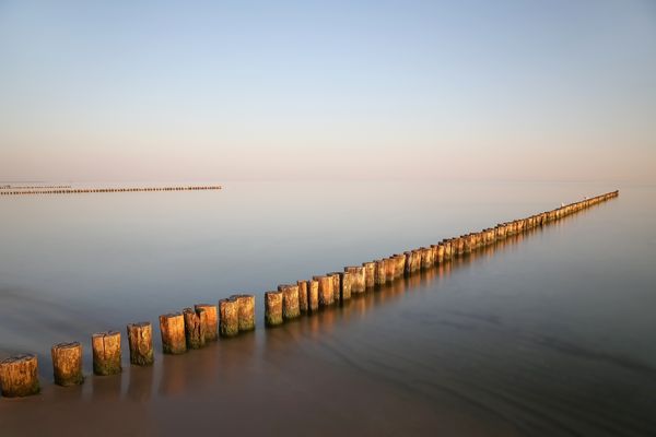 Zwei Möwen auf den Buhnen