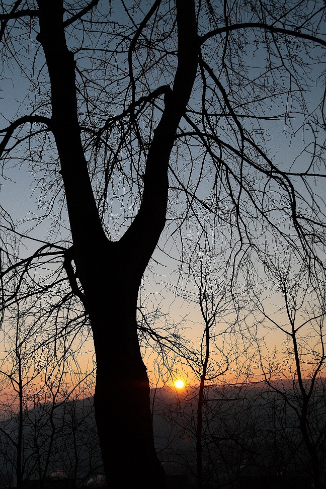 Zwei Morgen danach...