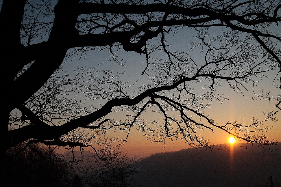 Zwei Morgen danach II