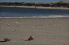 - Zwei oder mehr am Meer -