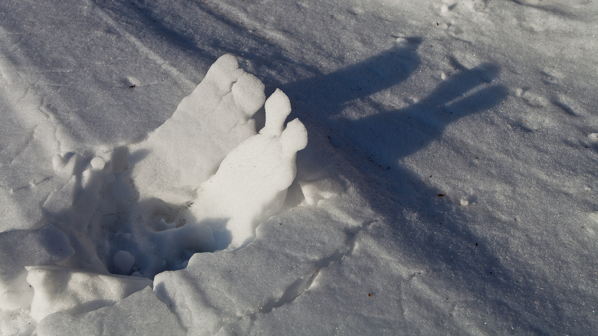 Zwei Osterhasen im Schnee