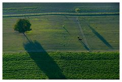 Zwei Pferde mit ein wenig Landschaft.....