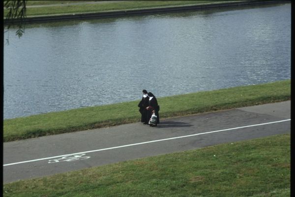 Zwei Pinguine in Prag