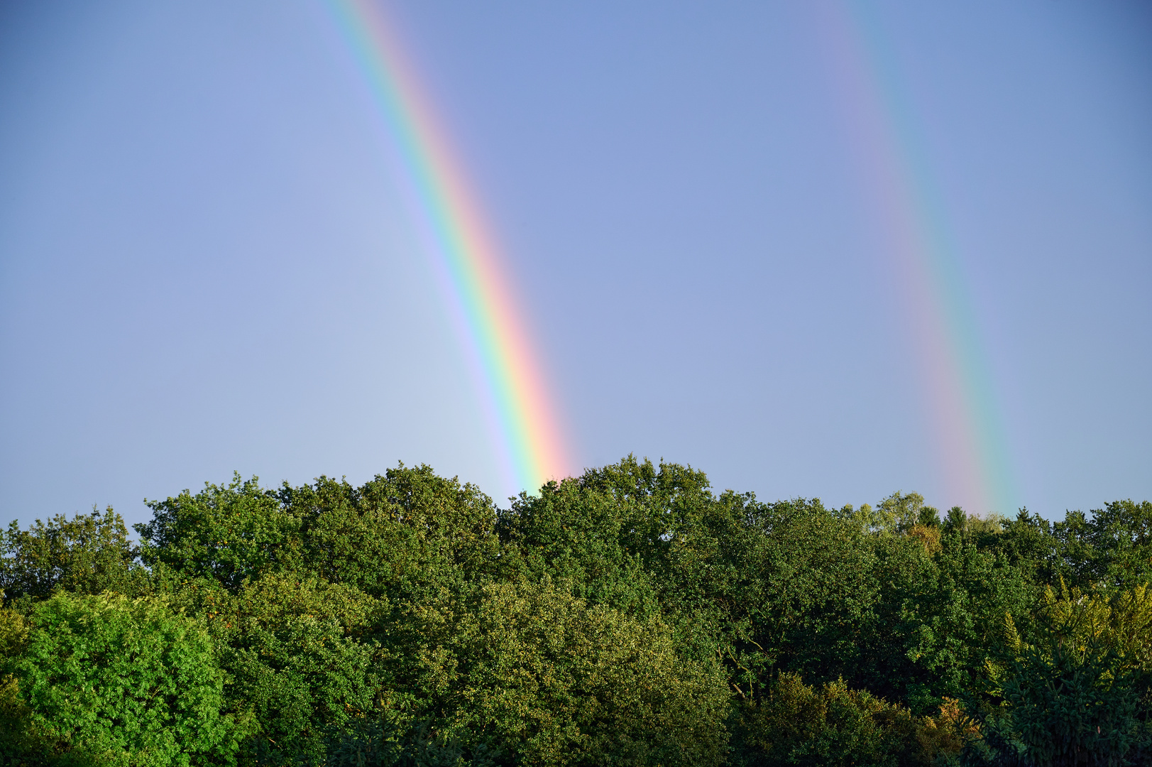 Zwei Regenbögen