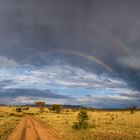 Zwei Regenbogen