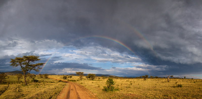 Zwei Regenbogen