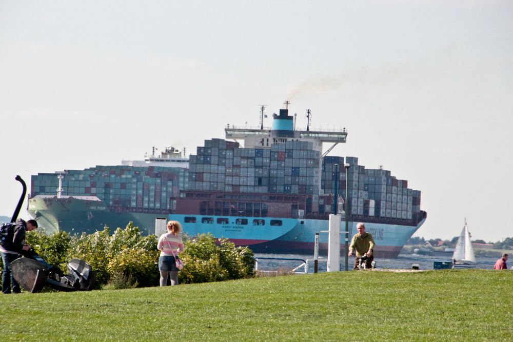 Zwei Riesen auf der Elbe