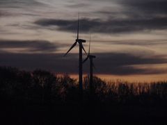 Zwei Riesen bei Sonnenaufgang