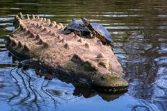 Zwei ritten auf dem Krokodil