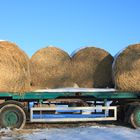 -Zwei Rundballen Stroh hatten noch Platz-