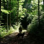 Zwei Schatten im Wald