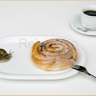 "Zwei Schnecken zum Kaffee" - Weinbergschnecke begegnet Zuckerschnecke auf Kuchenteller