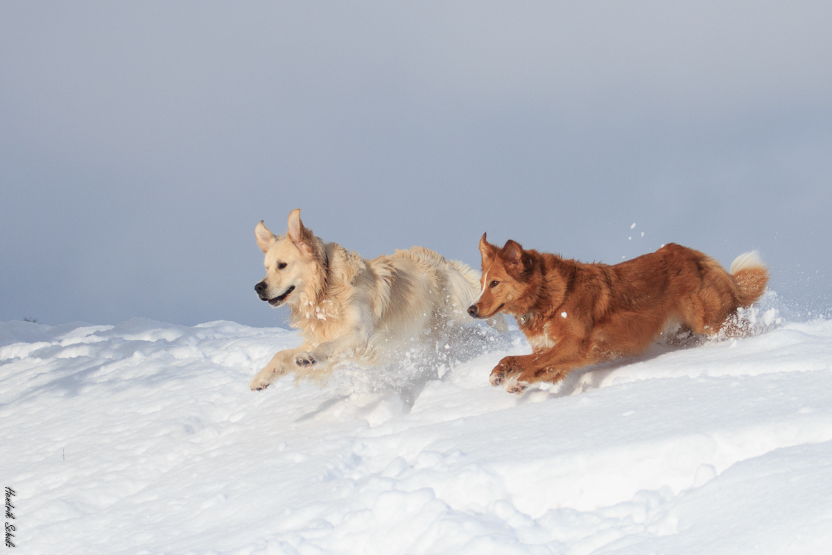 Zwei Schneefanatiker :-)