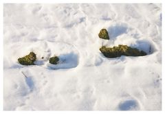 Zwei Schritte zum Frühling?