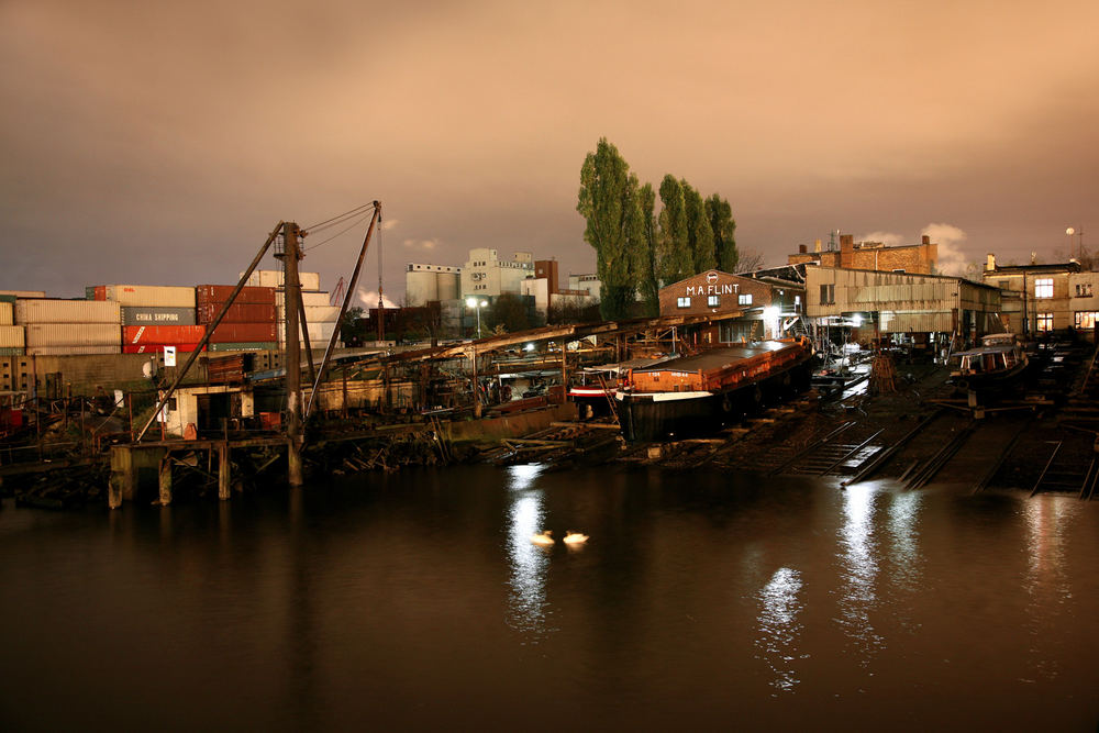 Zwei Schwäne im Hamburger Hafen