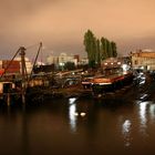 Zwei Schwäne im Hamburger Hafen