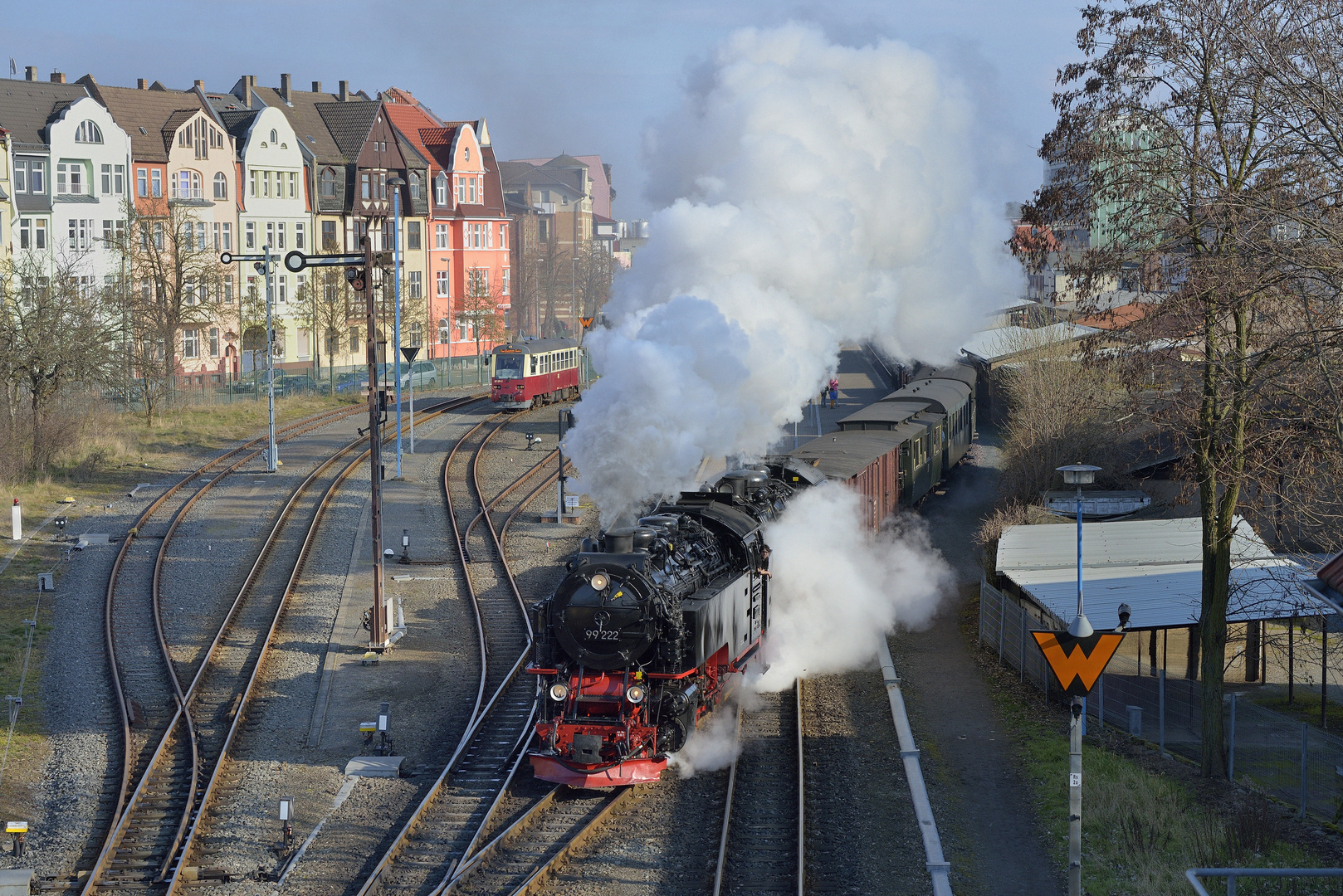 Zwei seltene Gäste in Nordhausen