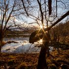 Zwei Sonnen und ein krummer Baum