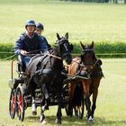 Zwei Spänner  Ponys