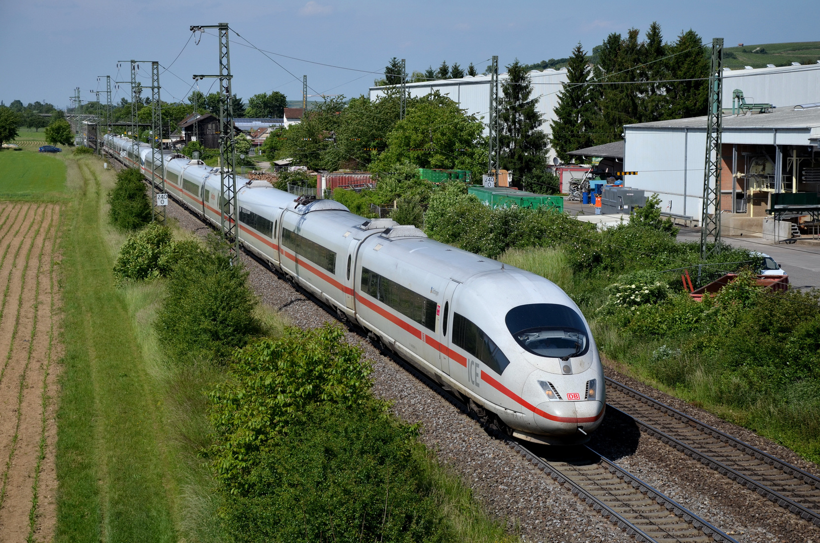 Zwei Spitzmäuse auf dem Weg in die Schweiz