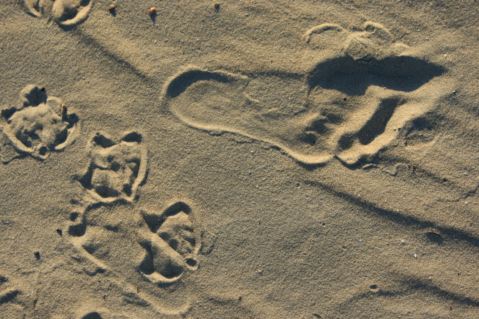 zwei Spuren im Sand