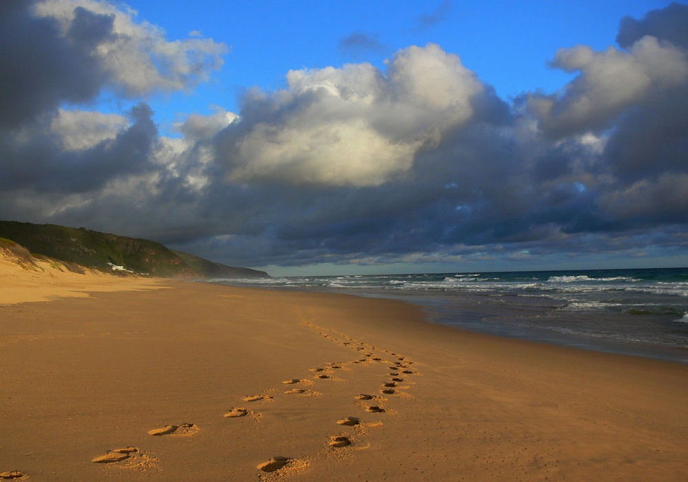 zwei Spuren im Sand....................