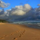 zwei Spuren im Sand....................