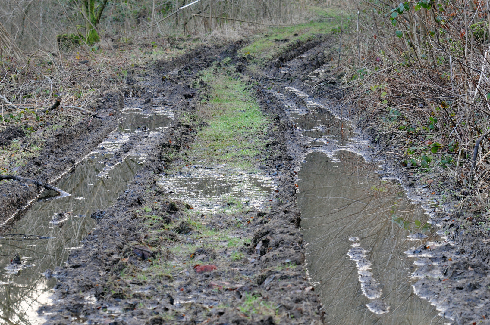 Zwei Spuren im Schlamm