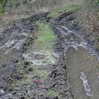 Zwei Spuren im Schlamm