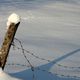 Zwei Spuren im Schnee