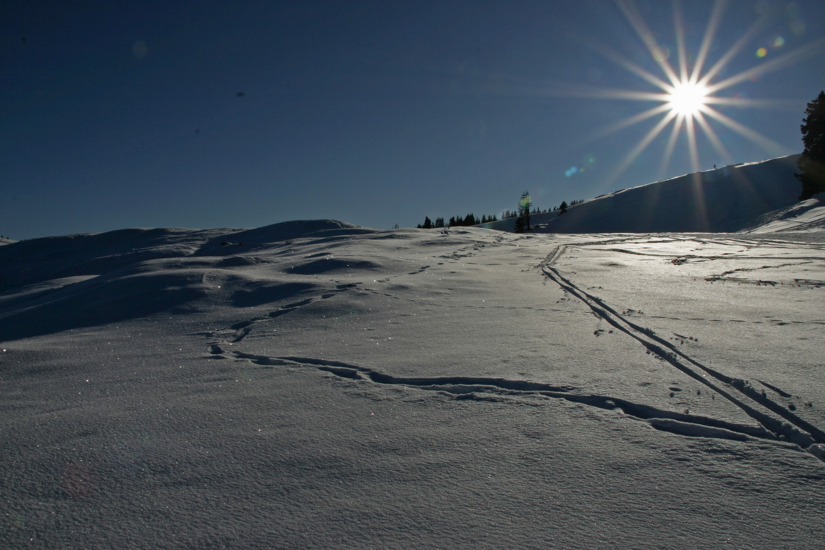 Zwei Spuren im Schnee