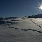 Zwei Spuren im Schnee