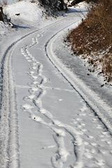 zwei Spuren im Schnee