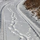 zwei Spuren im Schnee