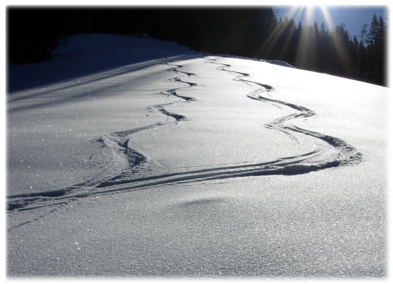 Zwei Spuren im Schnee