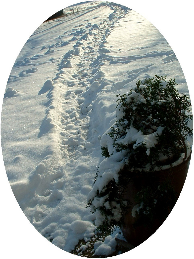 Zwei Spuren im Schnee